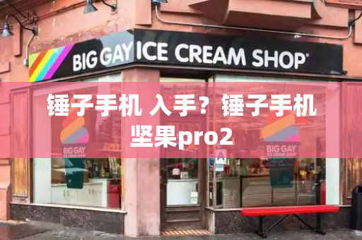 锤子手机 入手？锤子手机坚果pro2