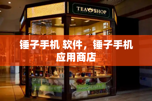 锤子手机 软件，锤子手机应用商店