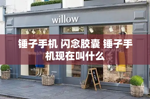 锤子手机 闪念胶囊 锤子手机现在叫什么
