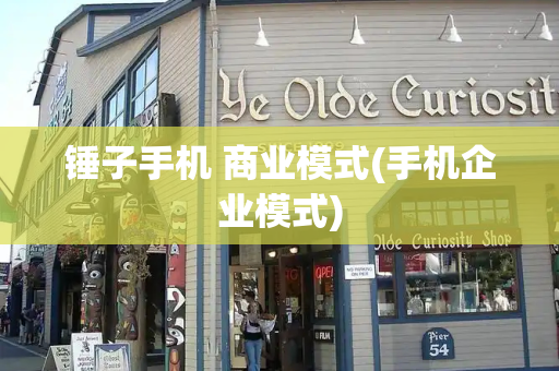 锤子手机 商业模式(手机企业模式)
