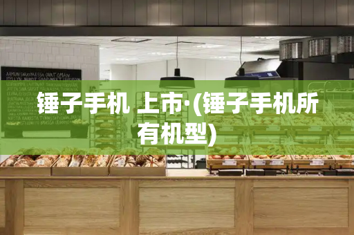 锤子手机 上市·(锤子手机所有机型)-第1张图片-星选测评