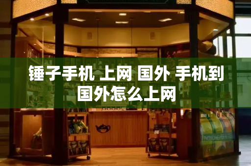 锤子手机 上网 国外 手机到国外怎么上网