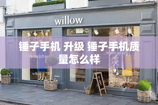 锤子手机 升级 锤子手机质量怎么样-第1张图片-星选测评