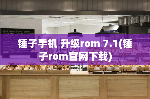 锤子手机 升级rom 7.1(锤子rom官网下载)-第1张图片-星选测评