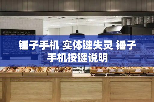 锤子手机 实体键失灵 锤子手机按键说明-第1张图片-星选测评