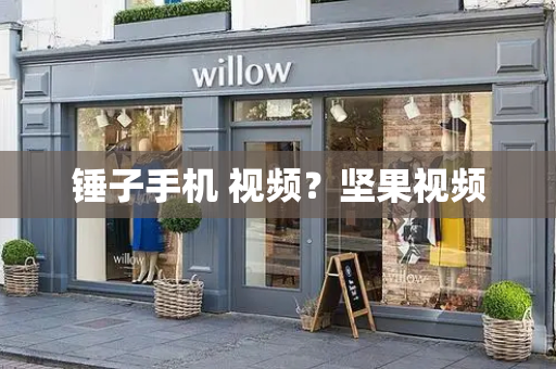 锤子手机 视频？坚果视频