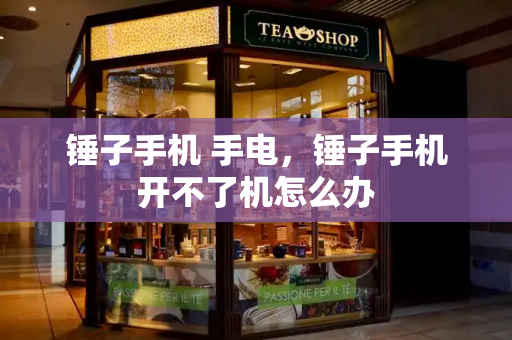 锤子手机 手电，锤子手机开不了机怎么办-第1张图片-星选测评