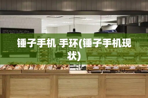 锤子手机 手环(锤子手机现状)-第1张图片-星选测评