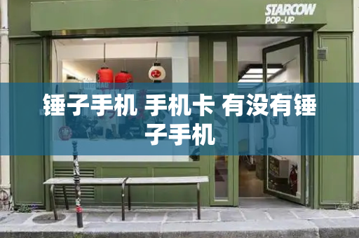 锤子手机 手机卡 有没有锤子手机
