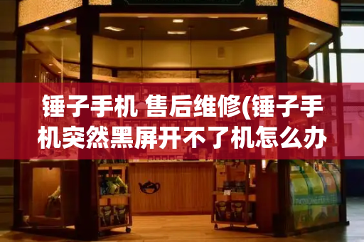 锤子手机 售后维修(锤子手机突然黑屏开不了机怎么办)