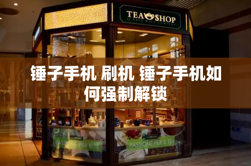 锤子手机 刷机 锤子手机如何强制解锁-第1张图片-星选测评