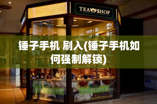锤子手机 刷入(锤子手机如何强制解锁)-第1张图片-星选测评