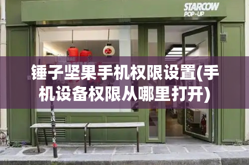 锤子坚果手机权限设置(手机设备权限从哪里打开)
