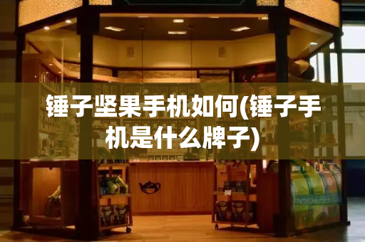 锤子坚果手机如何(锤子手机是什么牌子)