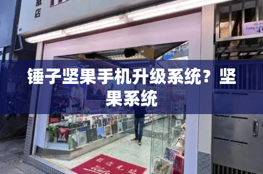 锤子坚果手机升级系统？坚果系统-第1张图片-星选测评