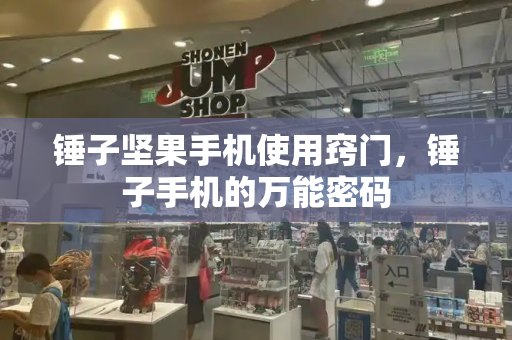 锤子坚果手机使用窍门，锤子手机的万能密码-第1张图片-星选测评