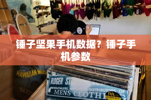 锤子坚果手机数据？锤子手机参数-第1张图片-星选测评