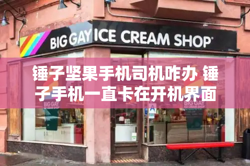 锤子坚果手机司机咋办 锤子手机一直卡在开机界面
