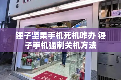 锤子坚果手机死机咋办 锤子手机强制关机方法