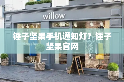 锤子坚果手机通知灯？锤子坚果官网-第1张图片-星选测评