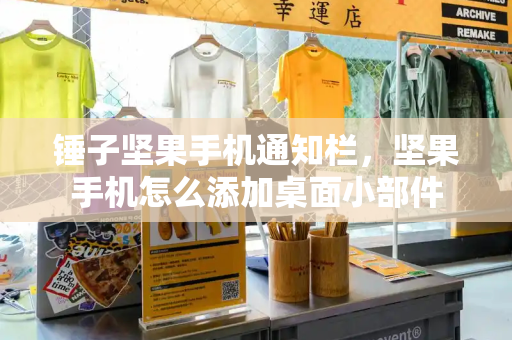 锤子坚果手机通知栏，坚果手机怎么添加桌面小部件