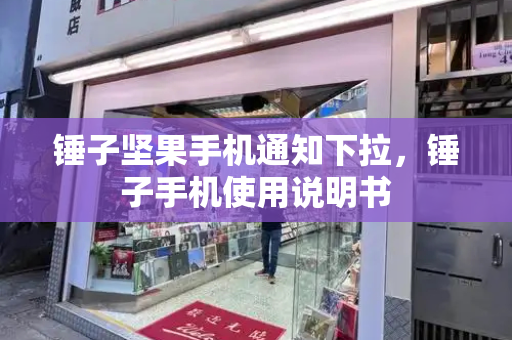 锤子坚果手机通知下拉，锤子手机使用说明书