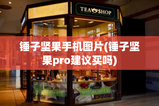 锤子坚果手机图片(锤子坚果pro建议买吗)