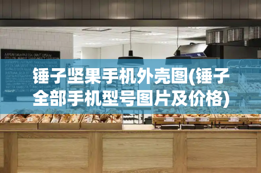 锤子坚果手机外壳图(锤子全部手机型号图片及价格)