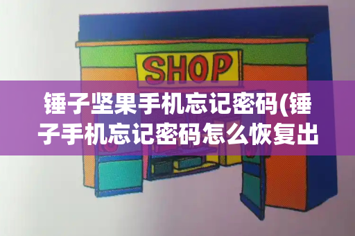 锤子坚果手机忘记密码(锤子手机忘记密码怎么恢复出厂设置)