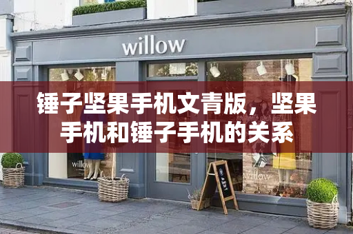 锤子坚果手机文青版，坚果手机和锤子手机的关系