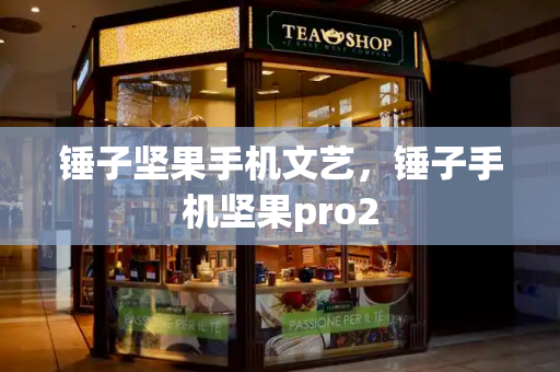 锤子坚果手机文艺，锤子手机坚果pro2-第1张图片-星选测评