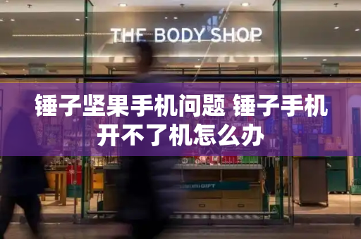 锤子坚果手机问题 锤子手机开不了机怎么办