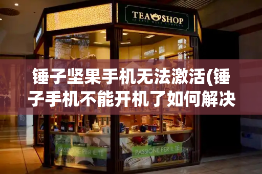 锤子坚果手机无法激活(锤子手机不能开机了如何解决)-第1张图片-星选测评