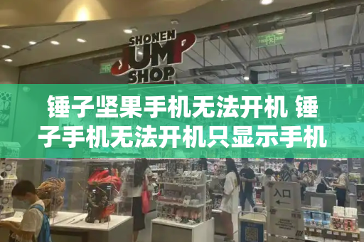 锤子坚果手机无法开机 锤子手机无法开机只显示手机标志-第1张图片-星选测评