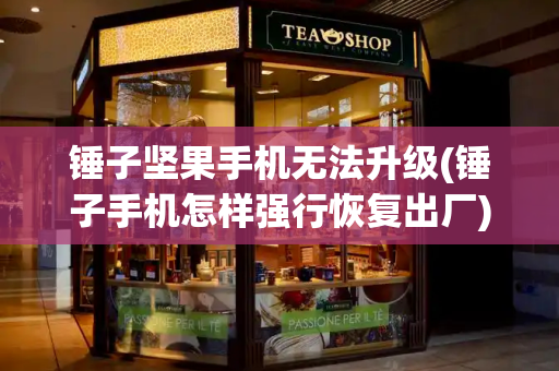 锤子坚果手机无法升级(锤子手机怎样强行恢复出厂)