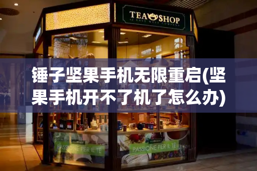 锤子坚果手机无限重启(坚果手机开不了机了怎么办)-第1张图片-星选测评