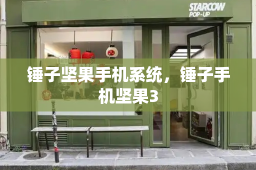 锤子坚果手机系统，锤子手机坚果3-第1张图片-星选测评