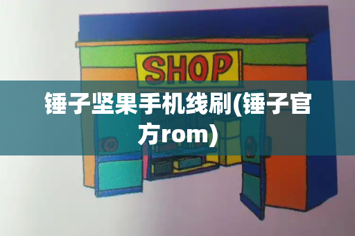 锤子坚果手机线刷(锤子官方rom)-第1张图片-星选测评