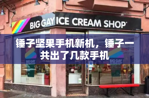 锤子坚果手机新机，锤子一共出了几款手机-第1张图片-星选测评