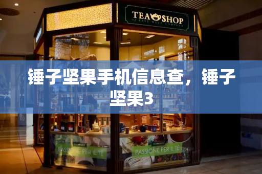 锤子坚果手机信息查，锤子坚果3