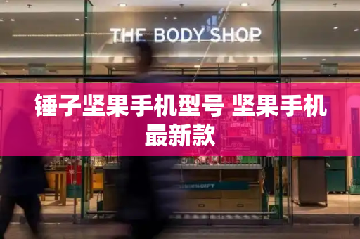 锤子坚果手机型号 坚果手机最新款