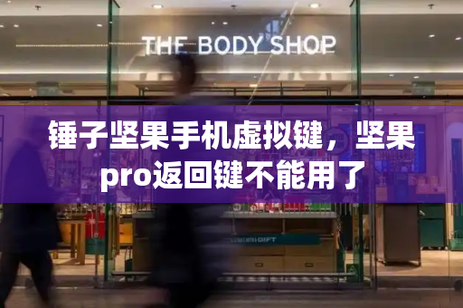 锤子坚果手机虚拟键，坚果pro返回键不能用了