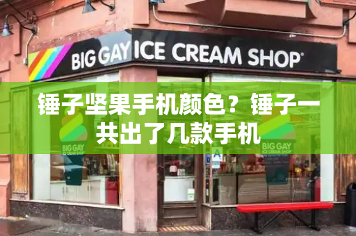 锤子坚果手机颜色？锤子一共出了几款手机-第1张图片-星选测评
