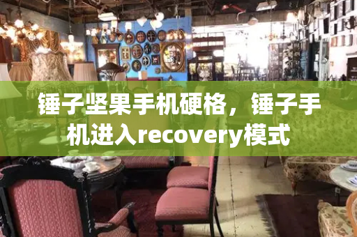 锤子坚果手机硬格，锤子手机进入recovery模式