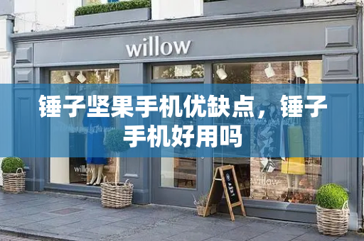 锤子坚果手机优缺点，锤子手机好用吗-第1张图片-星选测评