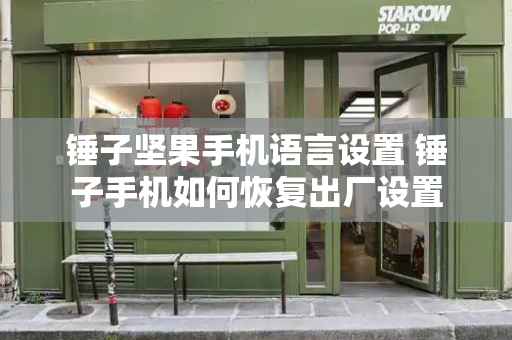锤子坚果手机语言设置 锤子手机如何恢复出厂设置-第1张图片-星选测评
