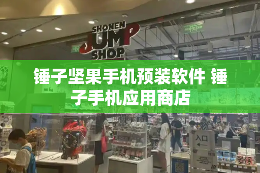 锤子坚果手机预装软件 锤子手机应用商店