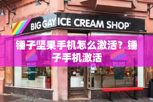 锤子坚果手机怎么激活？锤子手机激活-第1张图片-星选测评