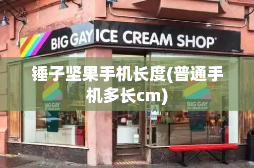 锤子坚果手机长度(普通手机多长cm)