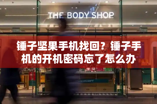 锤子坚果手机找回？锤子手机的开机密码忘了怎么办